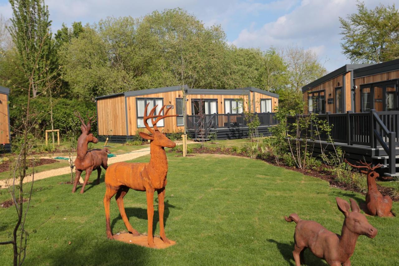 Sandy Balls Holiday Village Fordingbridge Luaran gambar
