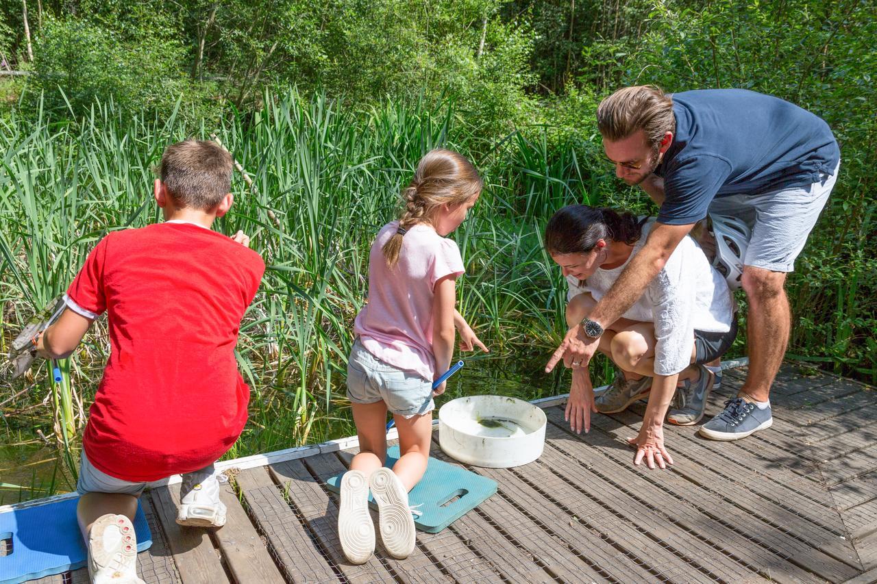 Sandy Balls Holiday Village Fordingbridge Luaran gambar